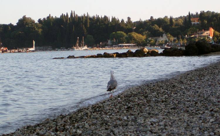 Pebble shore with moored boats in Corfu