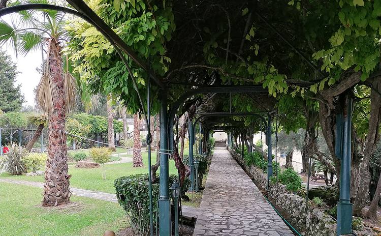 Shaded garden pergola walkway in Corfu