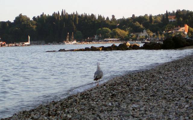 Pebble shore with moored boats